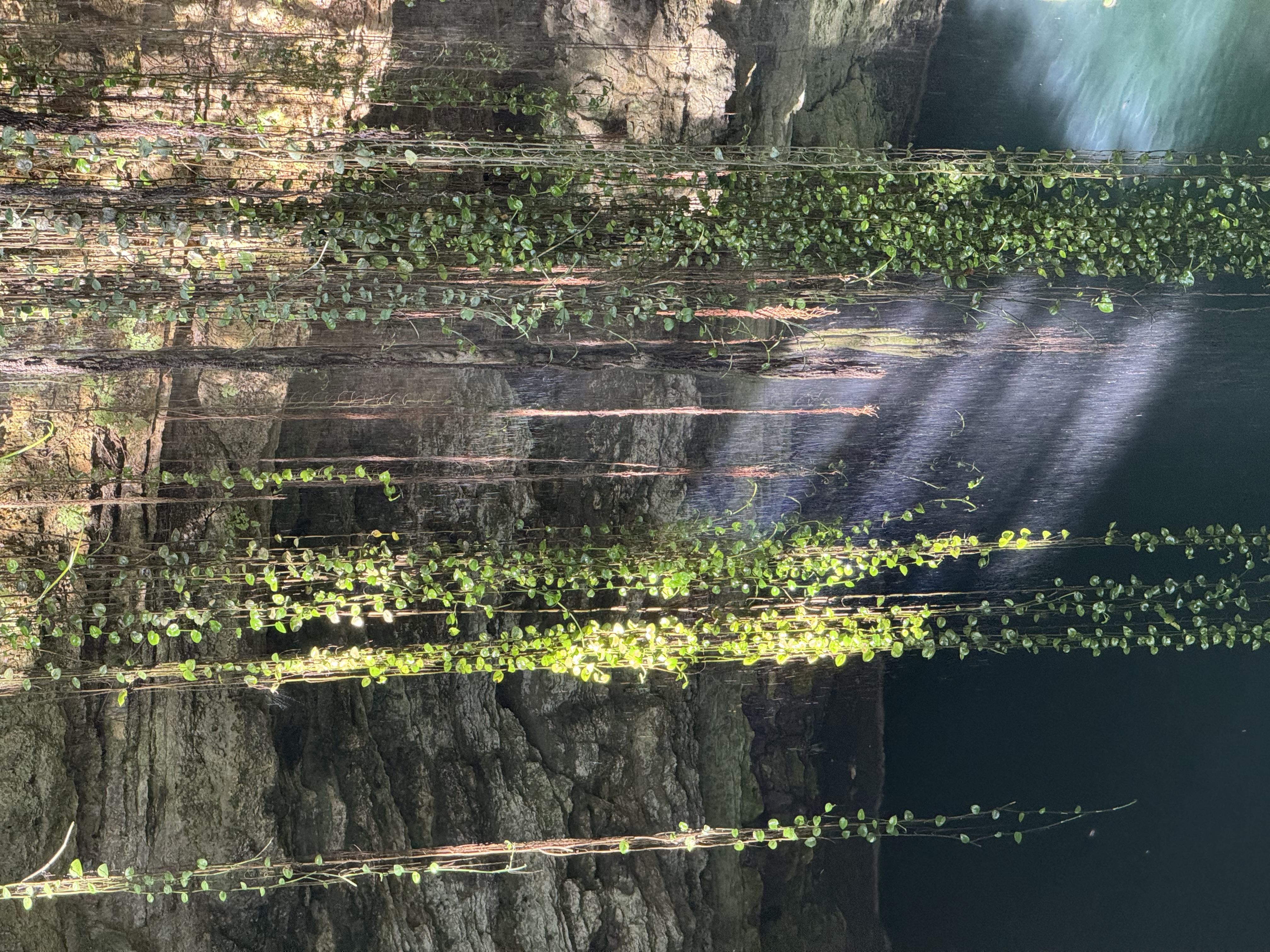 The Hidden Cost of Saying Yes to Every Project