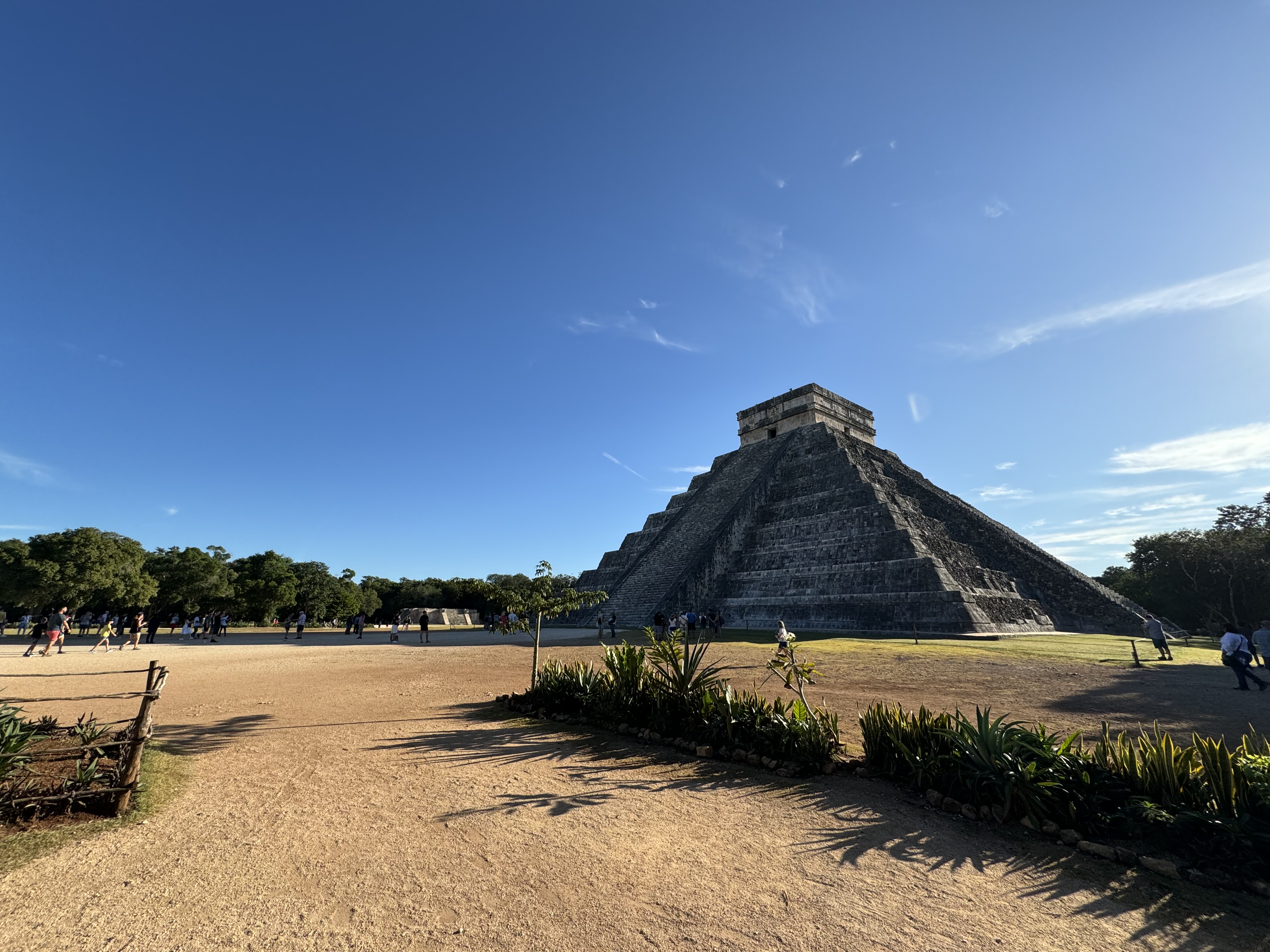 The Cost of Optionality