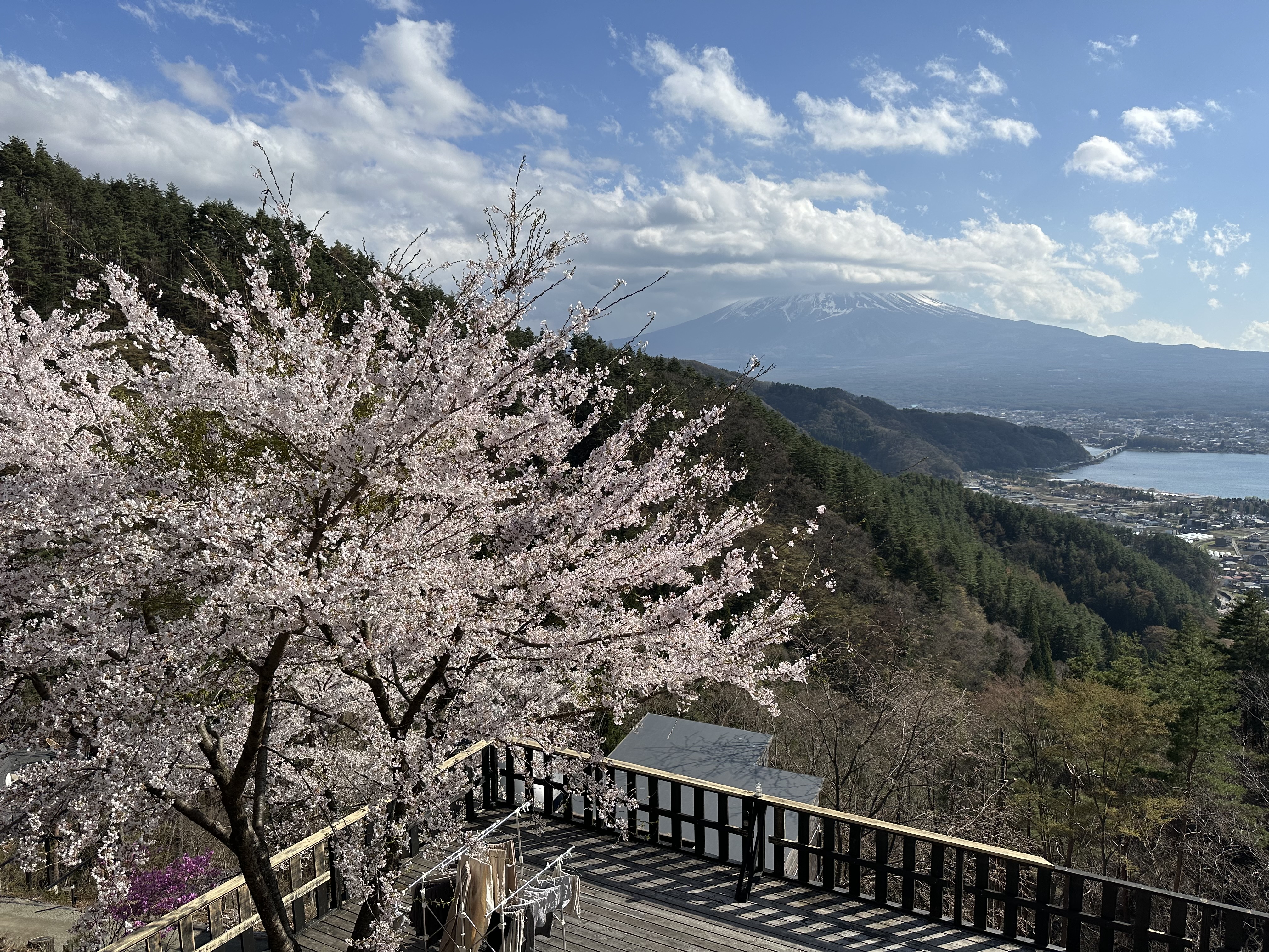 Getting Lost in Tokyo