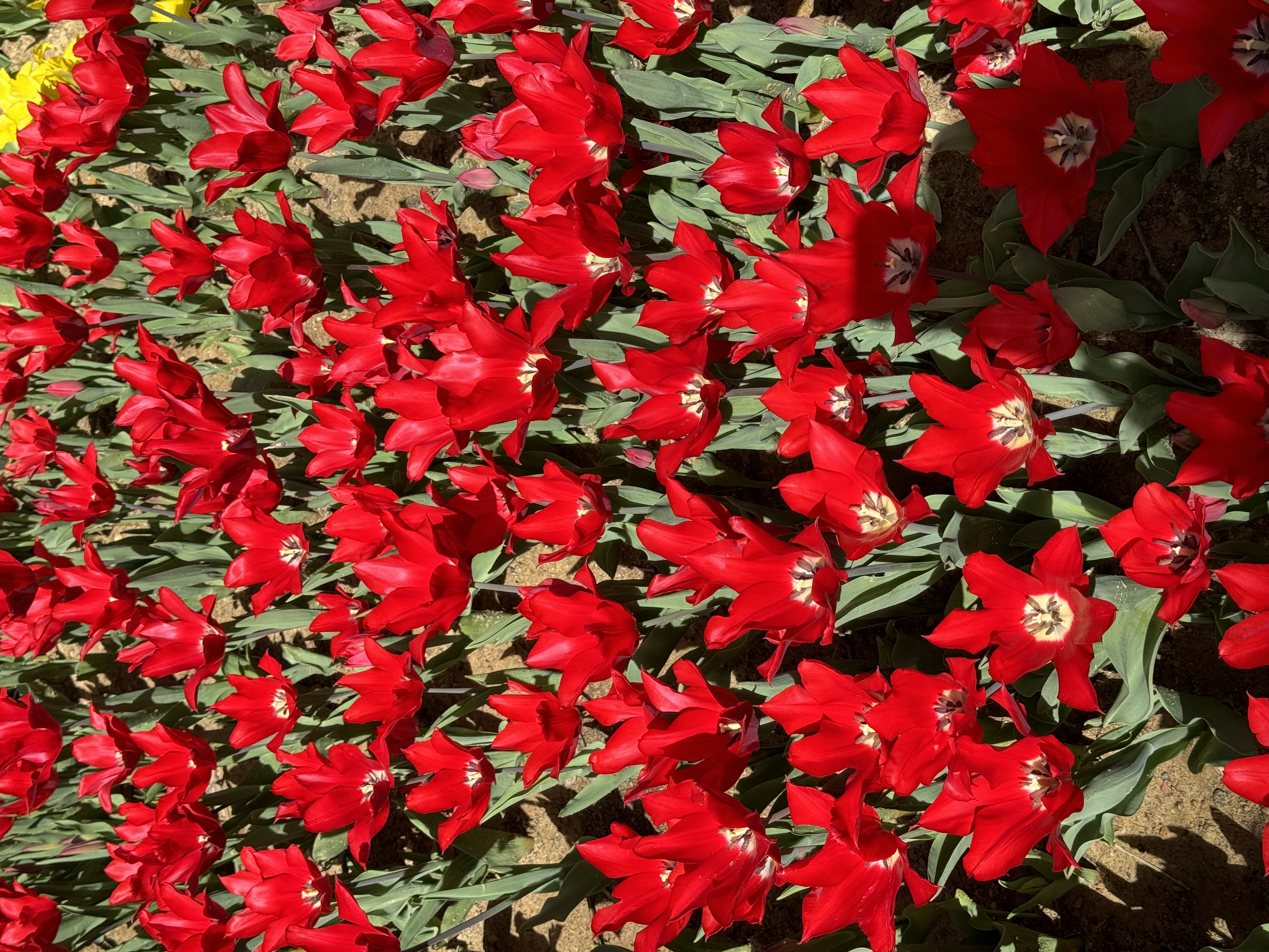 Why We Stopped Offering Retainers Under $5K