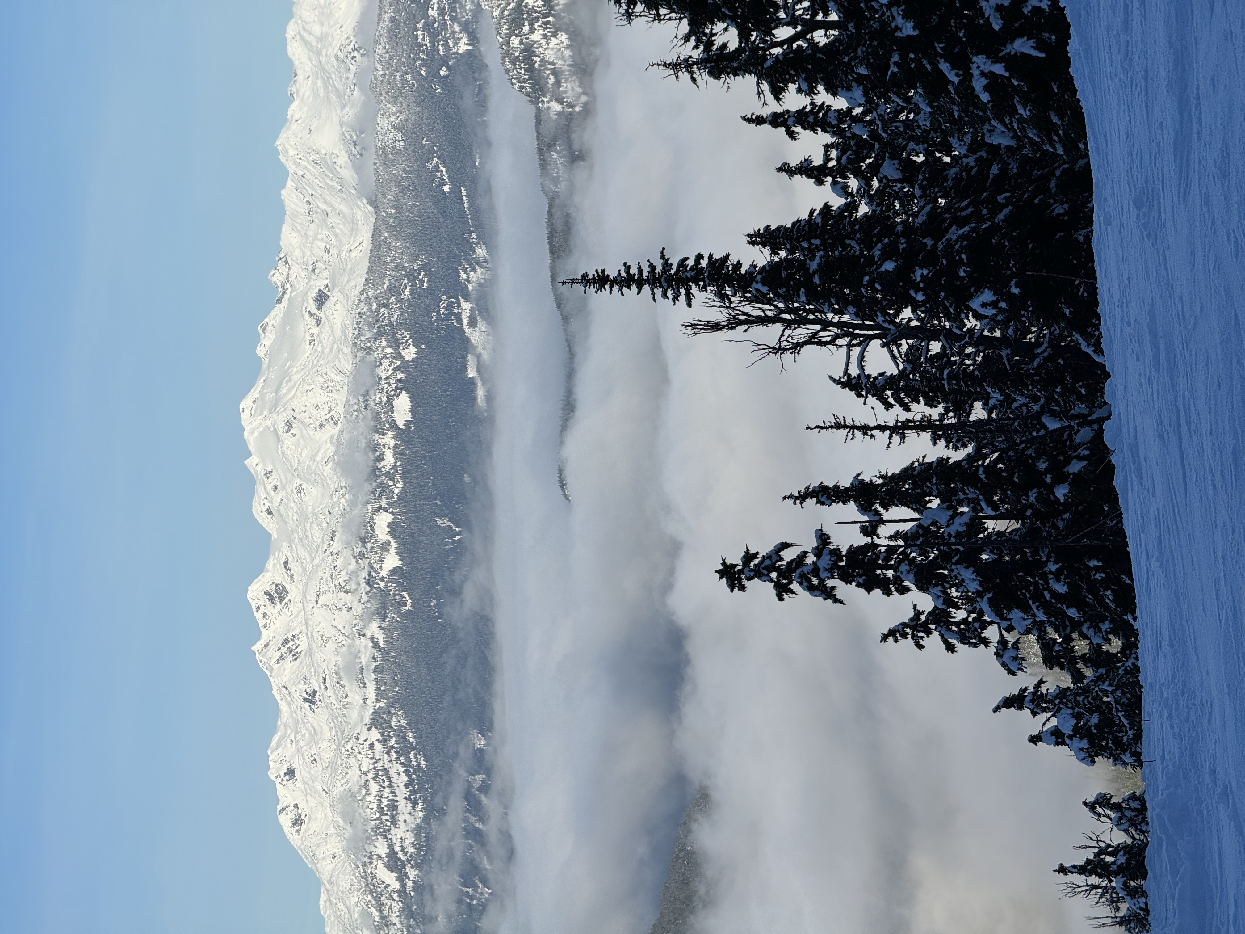 Leading Through Ambiguity