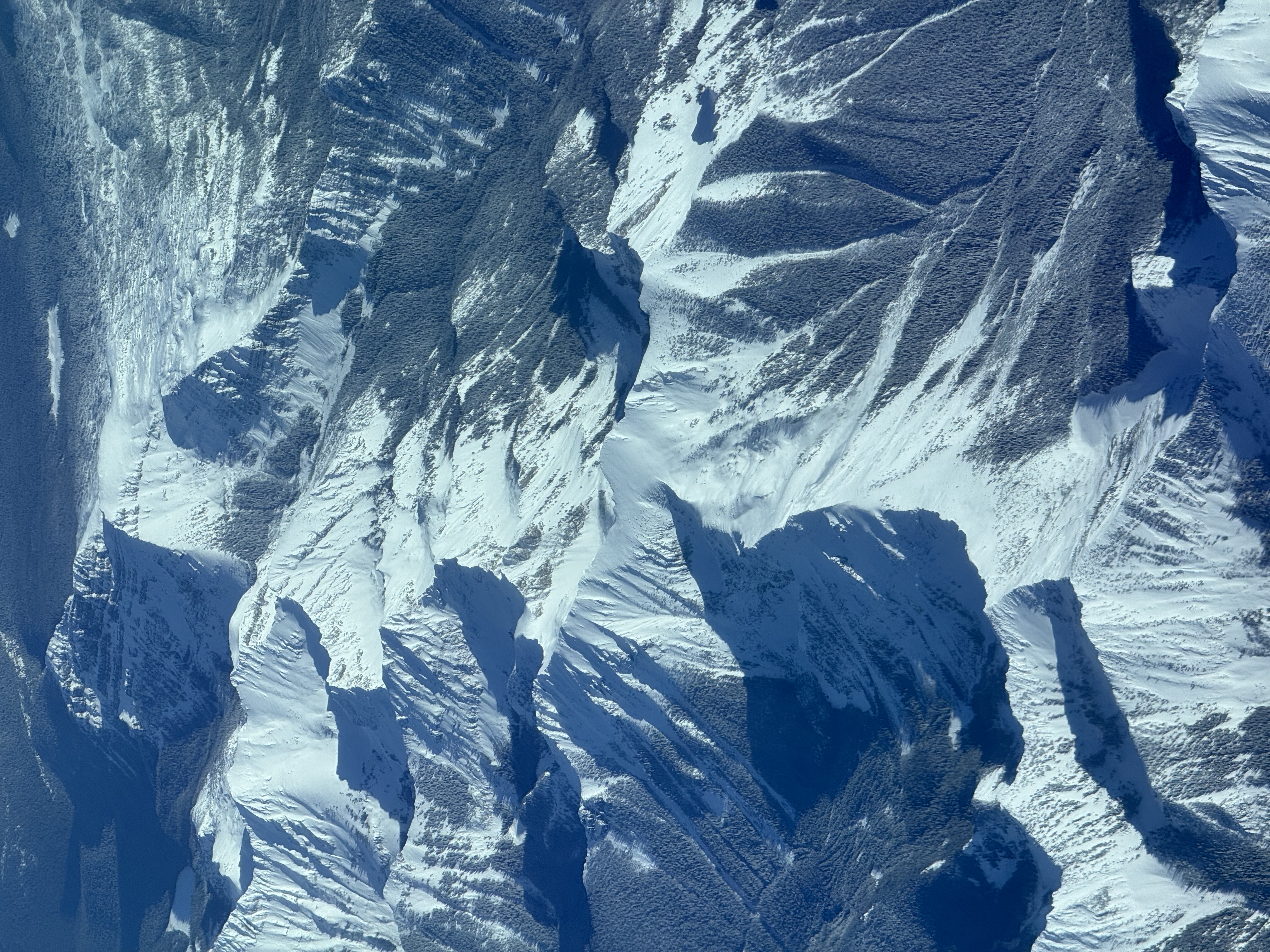 The Weight of Expectations