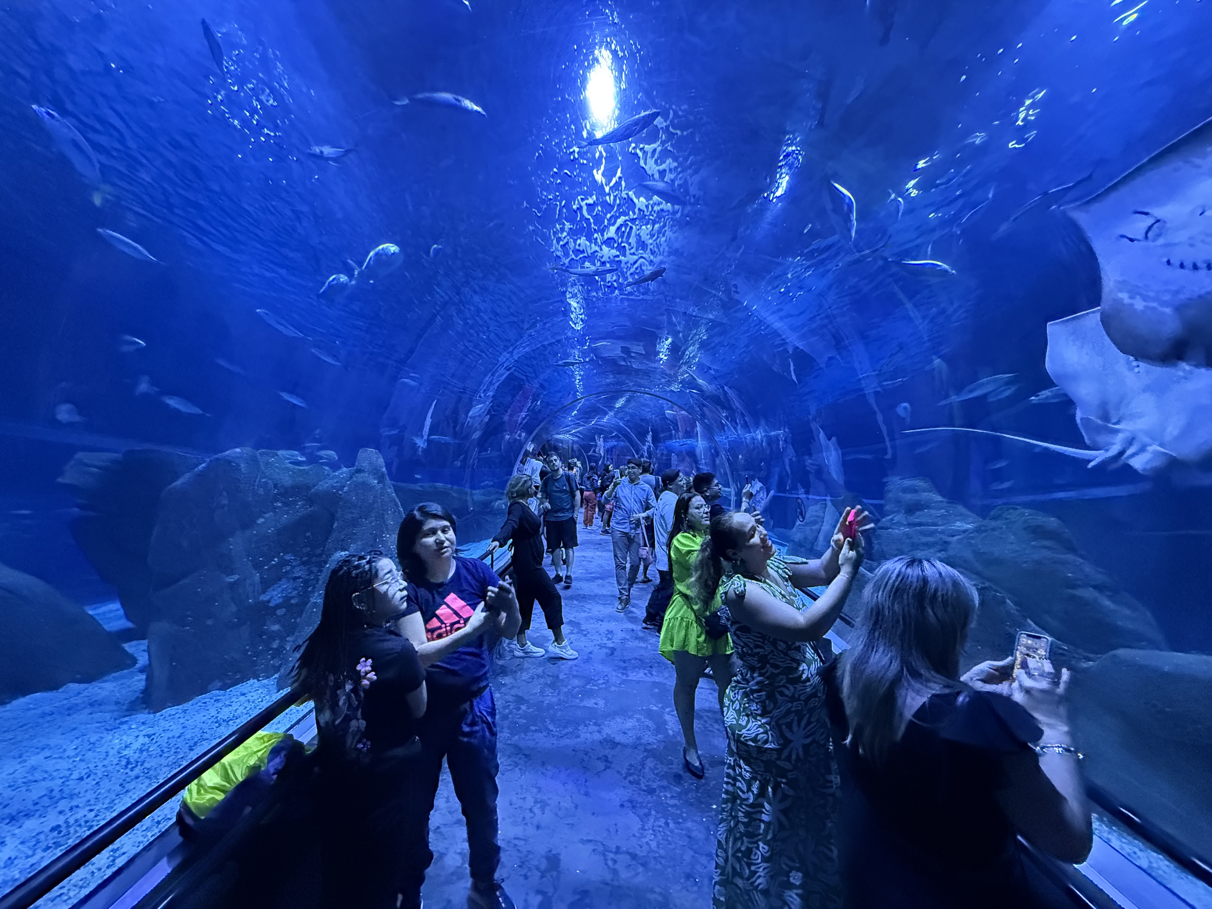 Learning to Say I Don't Know