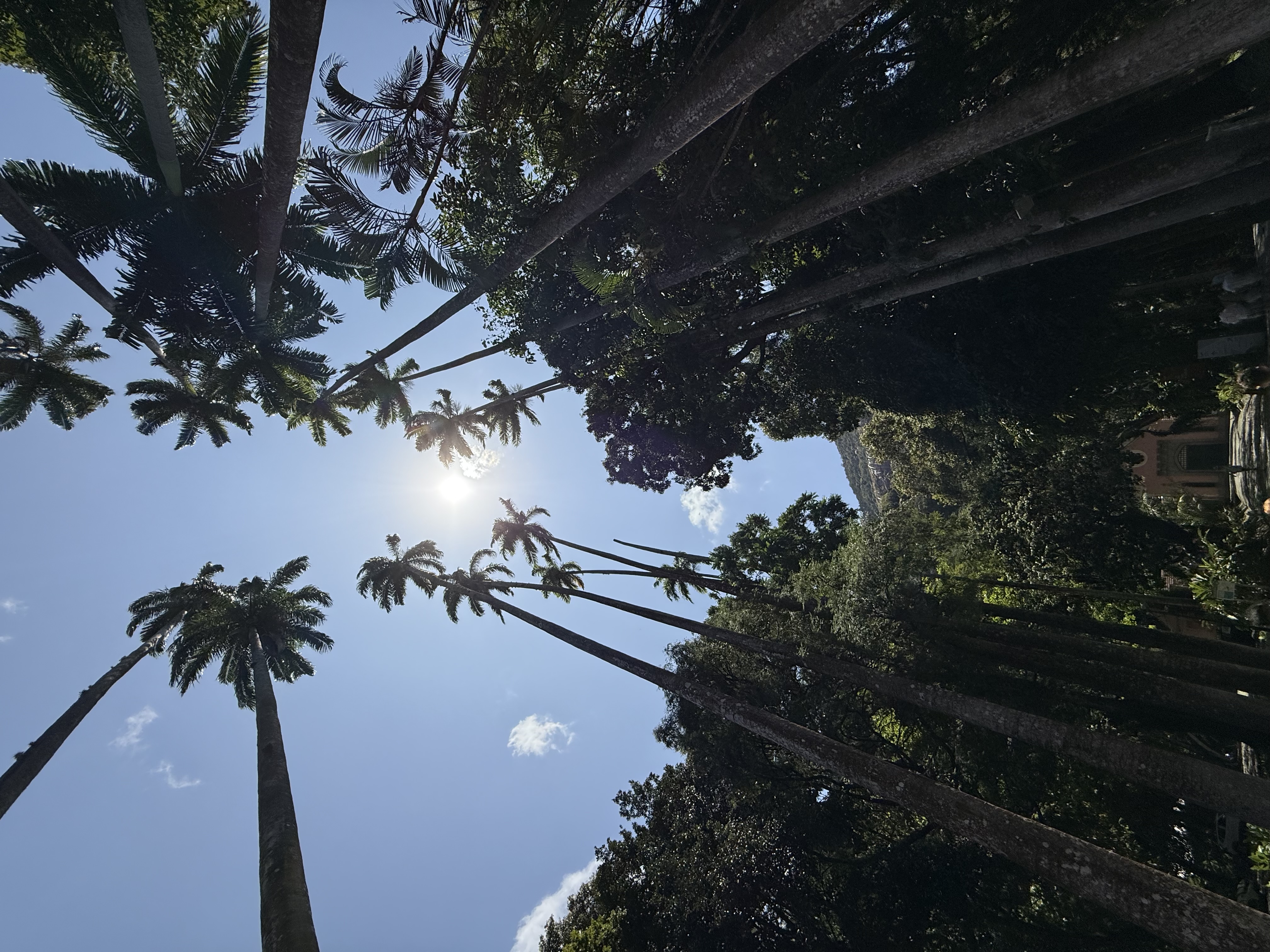 Driving the Garden Route