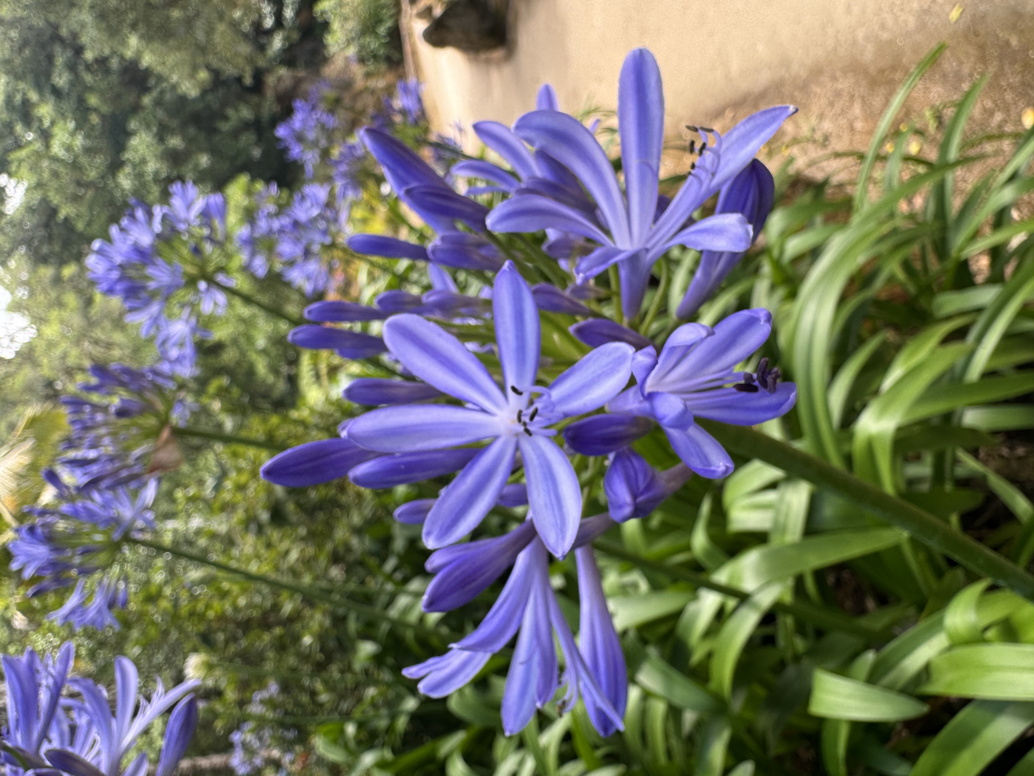 Content That Compounds