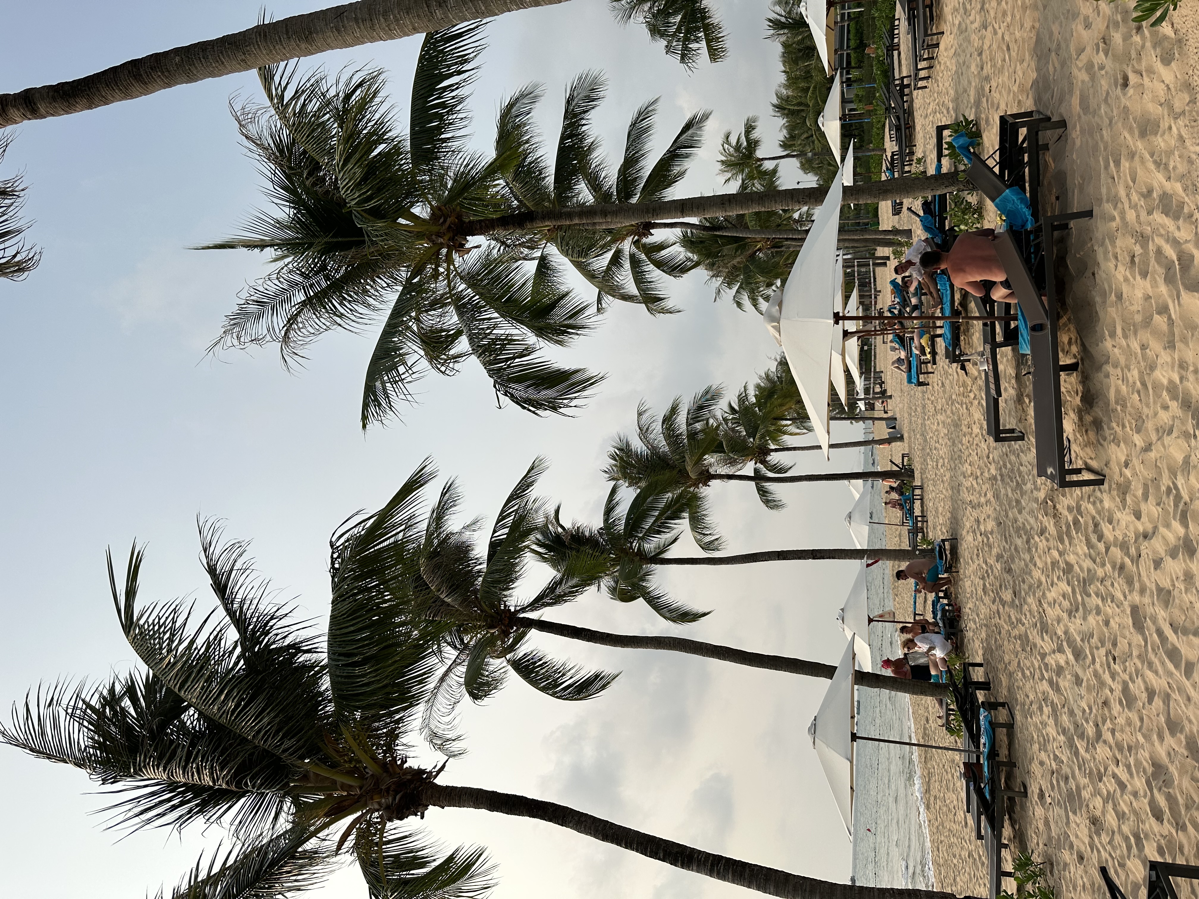 The Night Train Through Vietnam
